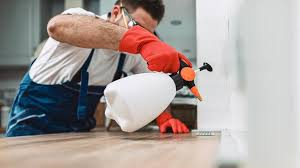 Best Residential Pest Control  in Oreana, IL